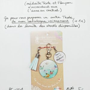 PC-001- Porte-clés/Bijou de sac Acier Inoxydable