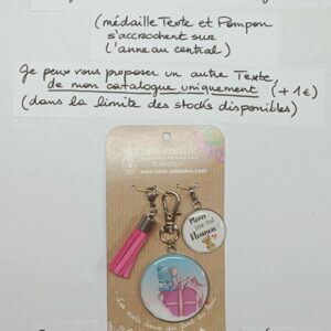 PC-032- Porte-clés/Bijou de sac Acier Inoxydable