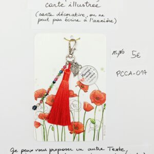 PCCA-014- Porte-clés personnalisé sur carte illustrée
